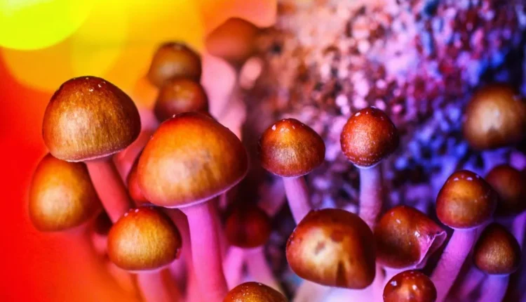 Man Who Hacked Off Own Genitals While High on Mushrooms Undergoes Successful Penis ‘Replantation’ in Historic First