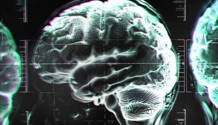 Scientists Found a Major Problem With Vitamin B12 Guidelines, and Your Brain Might Be at Risk