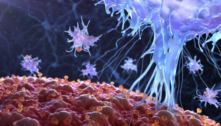 Scientists Use Electricity To “Reprogram” the Immune System for Faster Healing