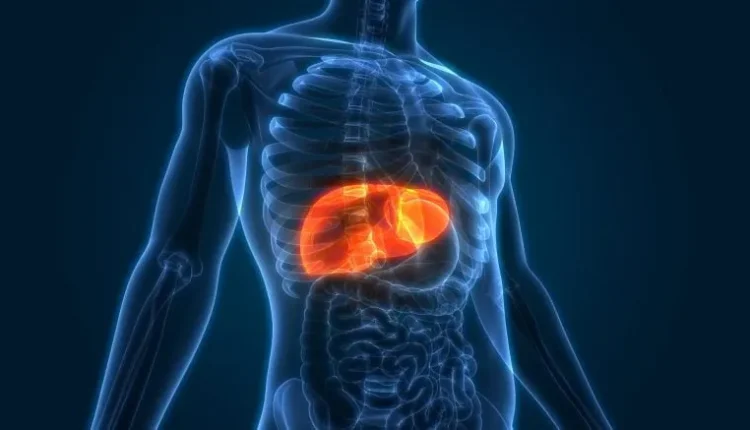 Could a Simple Vitamin Reverse the World’s Most Common Liver Disease?