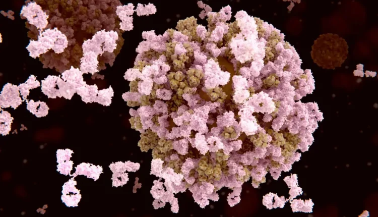 Ένα «κοκτέιλ» αντισωμάτων θα μπορούσε να αποτελέσει καθολική θεραπεία για τη γρίπη