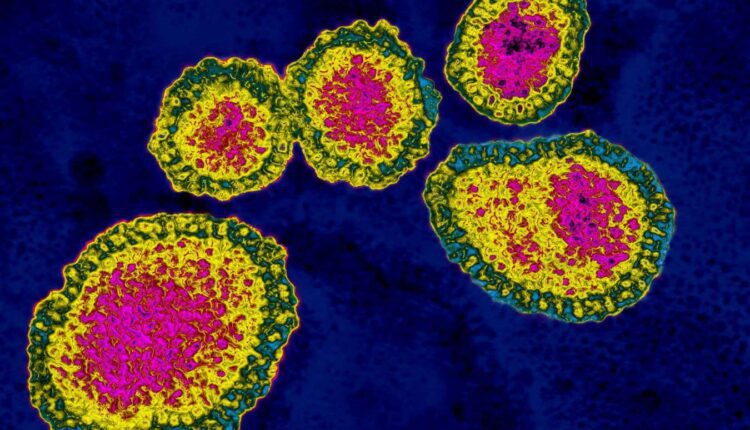 Some viruses like to cheat – and that may be good for our health