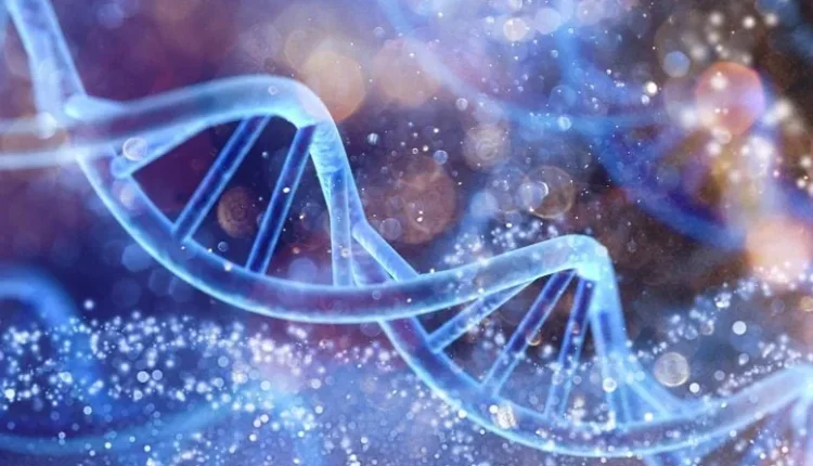 The Surprising Way Parents Transfer Longevity to Offspring