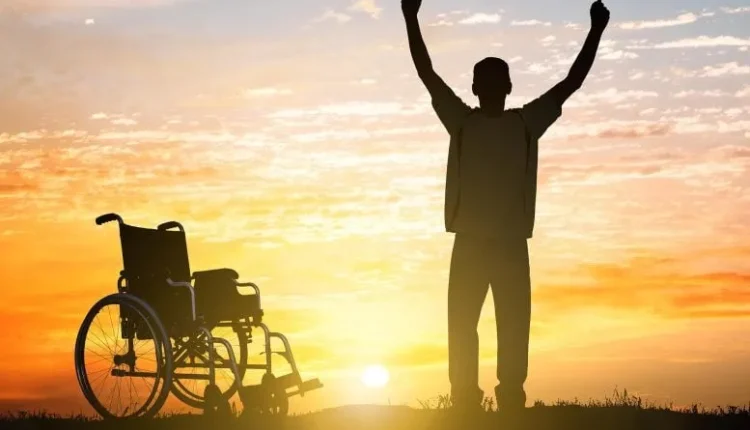 Tiny Lab-Grown Spinal Cords Could Hold the Key to Healing Paralysis