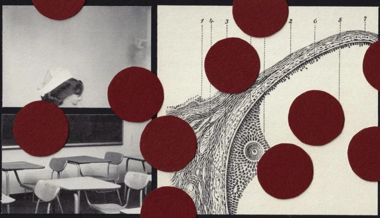 Sex Ed Should Cover Fertility Too