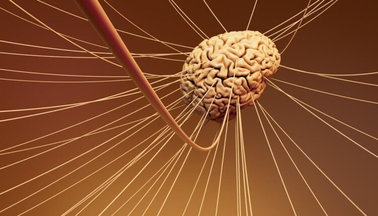 A computer generated image of a human brain