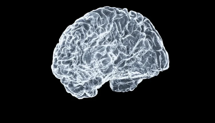 a close up of a human brain on a black background
