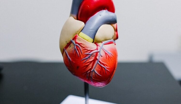 red and yellow bird figurine