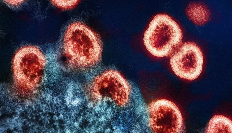 a group of red and black cells on a blue background