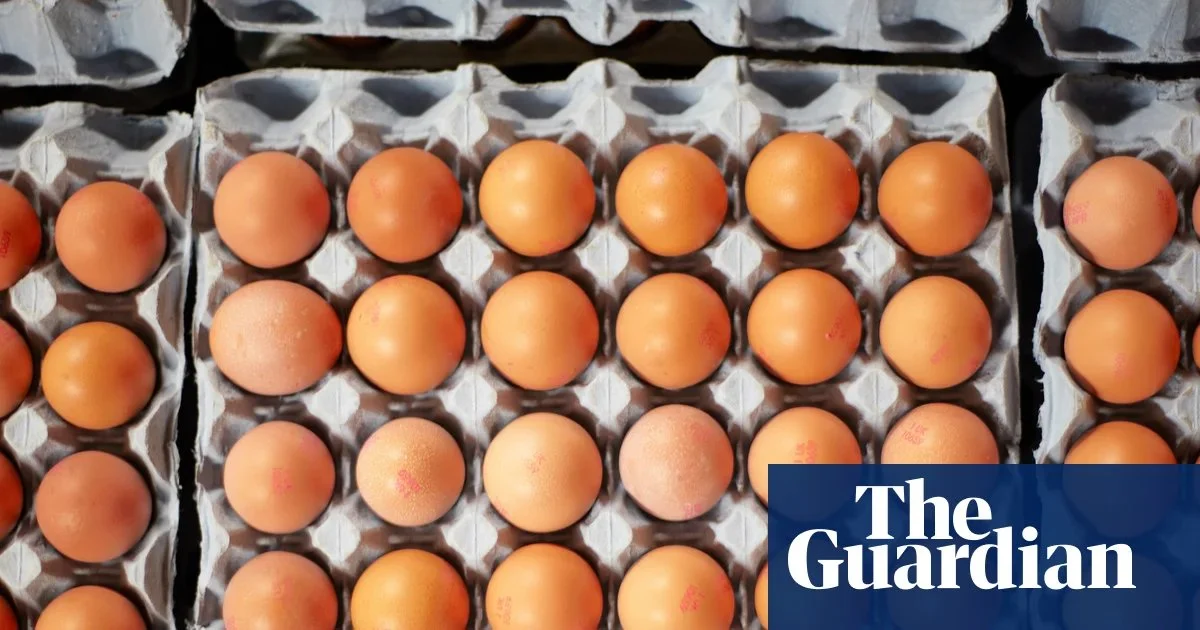 Salmonella: Γιατί αυξάνονται τα κρούσματα στο Ηνωμένο Βασίλειο