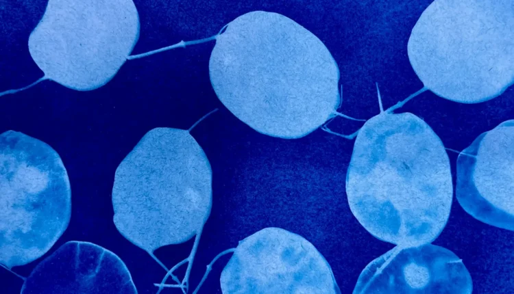 Blue abstract background with circular shapes