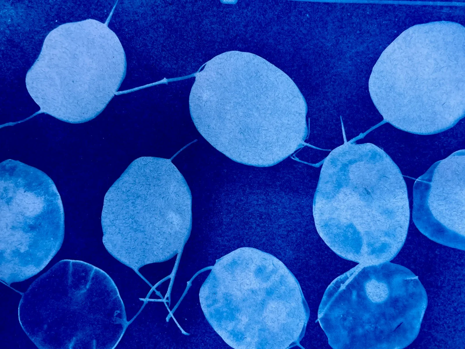 Blue abstract background with circular shapes