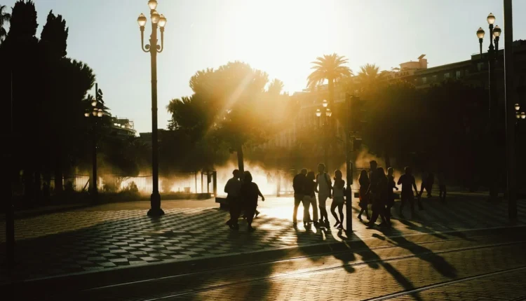 silhouette photo of people at park during golden hour