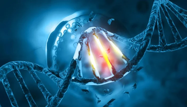 Σουκραλόζη και DNA: Τι ισχύει για την ασφάλεια του γλυκαντικού