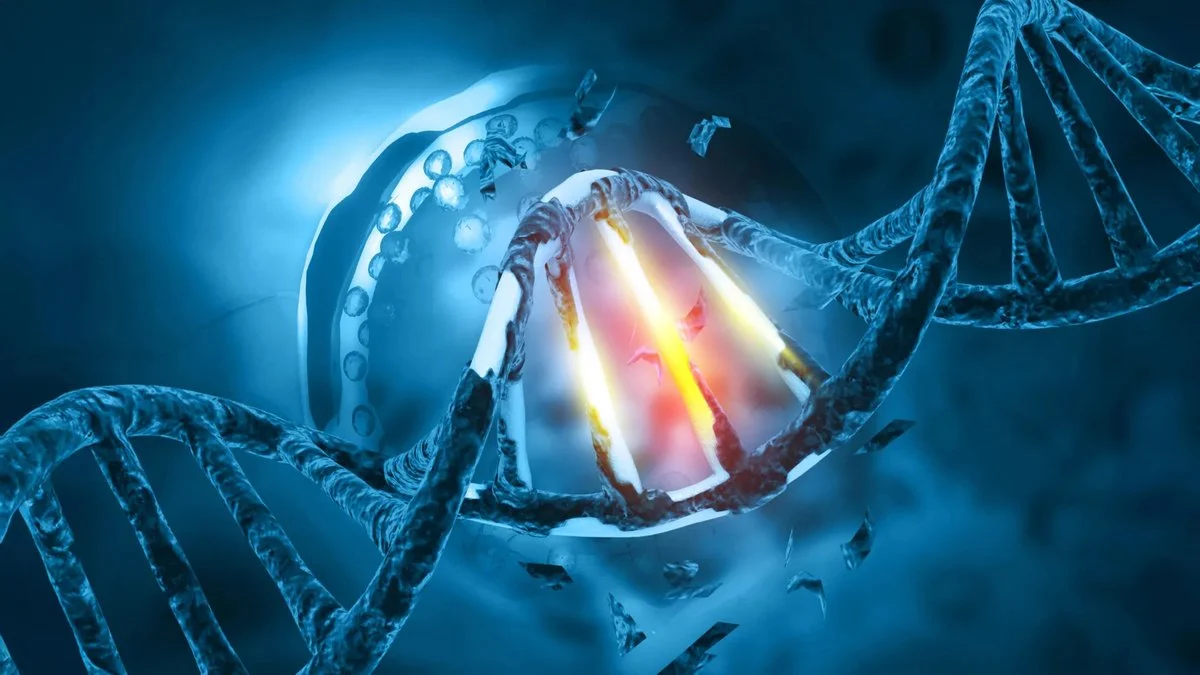 Σουκραλόζη και DNA: Τι ισχύει για την ασφάλεια του γλυκαντικού