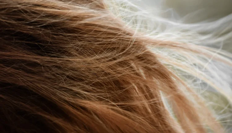 brown hair on white textile